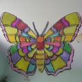 papillon window color