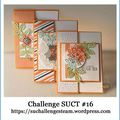 Challenge #16 - SU! Challenge Team