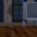 Sims 2 : animal enfoncé dans le sol