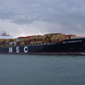 M/V MSC BENEDETTA