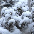 Neige à Malo-les-Bains le 7 février 2021