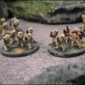 Legions Imperialis - Escouades Tactiques de la Death Guard