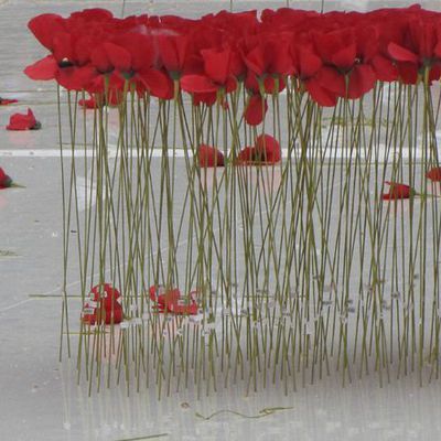 LES COQUELICOTS PARFUMES