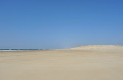 LE SENTIER DU MOJITO, prologue (64)