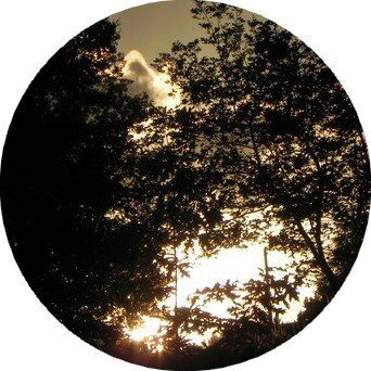 La Tête dans les ....