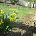 Le printemps s'annonce dans le jardin de la