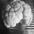 choufleur cerveau et dissection culinaire