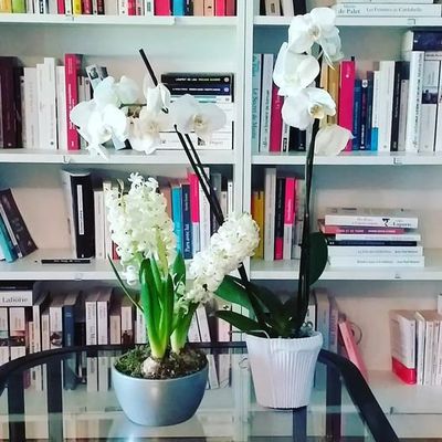 MA PARTICIPATION CHEZ LYLOU, REGARD SUR...