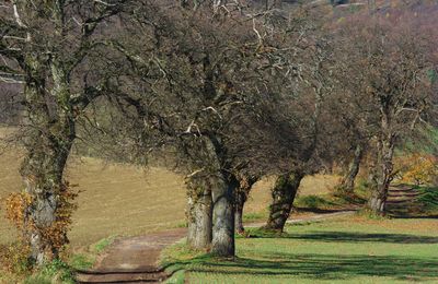 Suivre le fil des idées