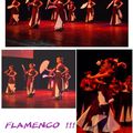 Flamenco !!!