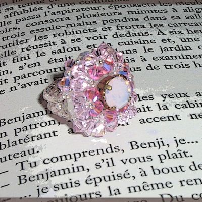 Pour fêter l'ouverture du blog ...