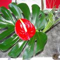 MARIAGE MISSION 1: Les Anthuriums