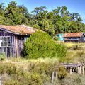 Cabane ostréicole Marenne Oleron