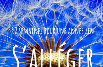 52 SEMAINES POUR UNE ANNÉE ZEN - S'ALLEGER