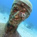Réserve Cousteau forever