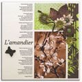 L'amandier