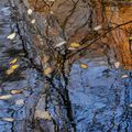 "Comme ces lacs qui font très malQuand l'automne