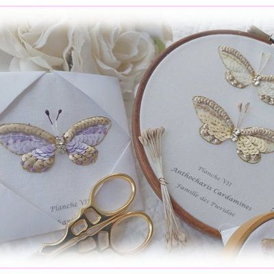 Papillon VI et Papillon VII