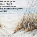 Galates 5:16 - Verset d'Or Pur - 34/43