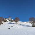 TransAubrac, près de Vieurals