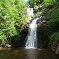 Forêt des Palanges/Agen-d'Aveyron