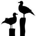 motif gratuit, vectorisation offerte: mouettes
