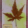 Cartes automnales - Fall cards