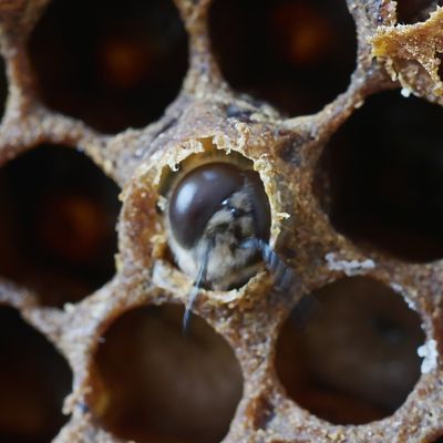 Mais où est la sortie?