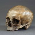 A Vanitas in the form of a European Medieval Human Skull, ‘Memento Mori’. Circa 1400 – 1500 AD