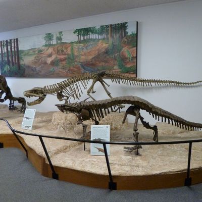 PETRIFIED FOREST National Park en ARIZONA