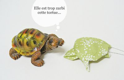 SC & More n° 260 : une tortue...