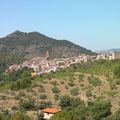 Priorat 2011 : que calor!...