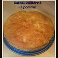 Gateau cuillère 