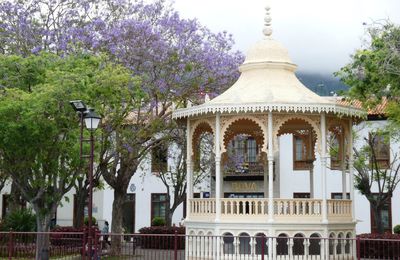 10 jours aux Canaries -Part2 : Tenerife-