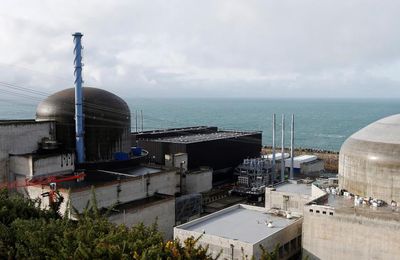 444.Nucléaire : la construction de nouveaux EPR serait "absurde sur le plan industriel", selon l'association négaWatt Yves Marig