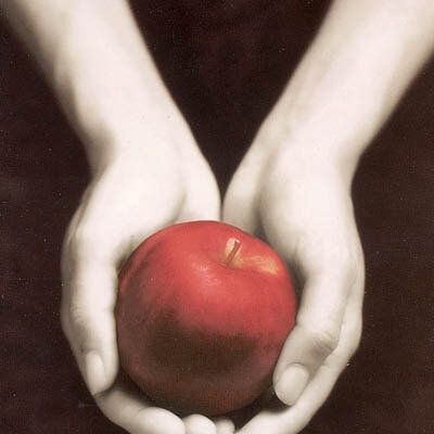 FASCINATION. MEYER Stephenie