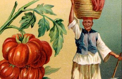 Le goût perdu de la tomate ? La Revue 180°C l'a retrouvé !
