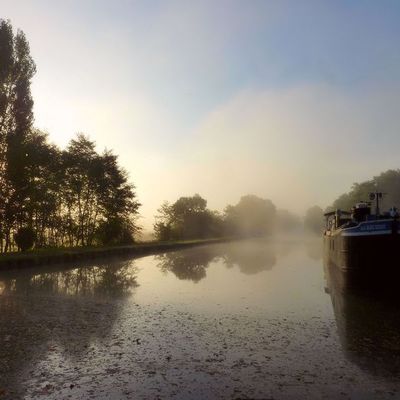 Paray-le Fresil... le Blue-Berry sur le canal latéral à la Loire