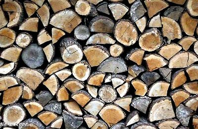 Des conseils pour le stockage du bois de chauffage