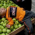 Sont tombés dans les pommes (élégamment bien sûr)