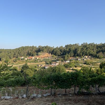 San Benito: journée au village 
