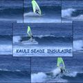 KAULI SEADI / CARVING SURF !...