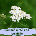 37/4 Bouillon à l'Ail et à l'Achillée Millefeuille