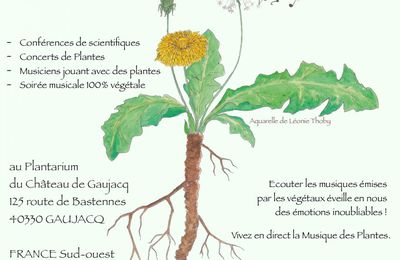 FESTIVAL INTERNATIONAL DE MUSIQUE DES PLANTES