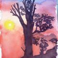 Coucher de soleil a l'arbre