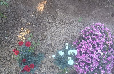 A la lumière du matin...