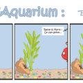 L'aquarium n°4
