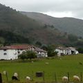 photos 4: Bidarray, paysages moutons,pyrénées et vue sur le village. 
