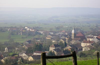 Tu as quitté le village peiné,Sous les fleurs et