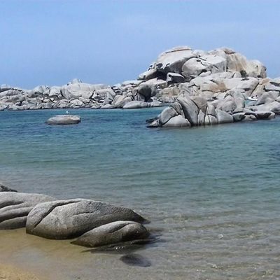 25/06/2017 - Iles Lavezzi (partie 2)